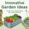Innovative Garden Ideas